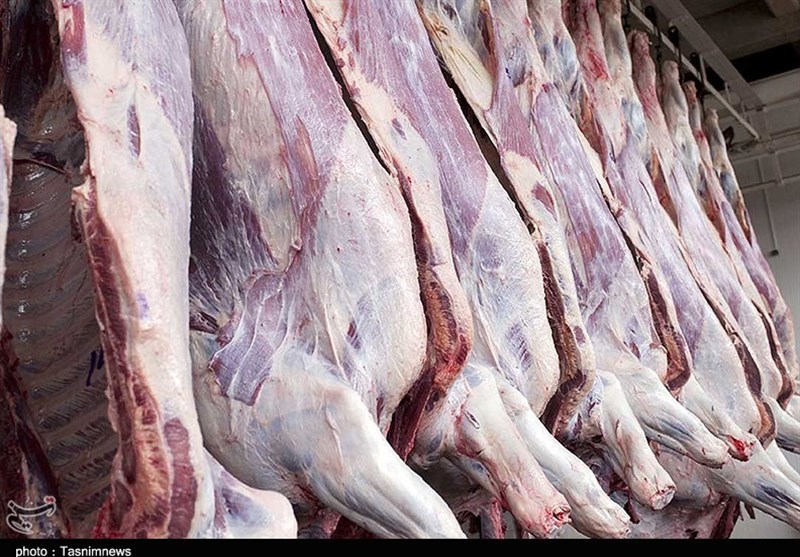 عرضه گوشت دولتی به زودی در همدان آغاز می‌شود