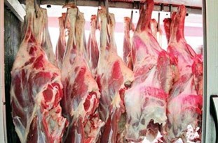 معدوم‌سازی ۴۷ تن گوشت غیرقابل مصرف در همدان/ ارجاع ۲۹۲ واحد متخلف به مراجع قضایی