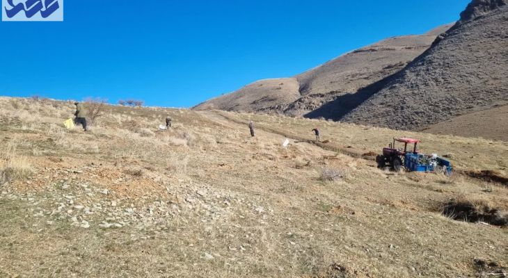 نهال‌کاری و بذرکاری در طبیعت نهاوند+تصاویر