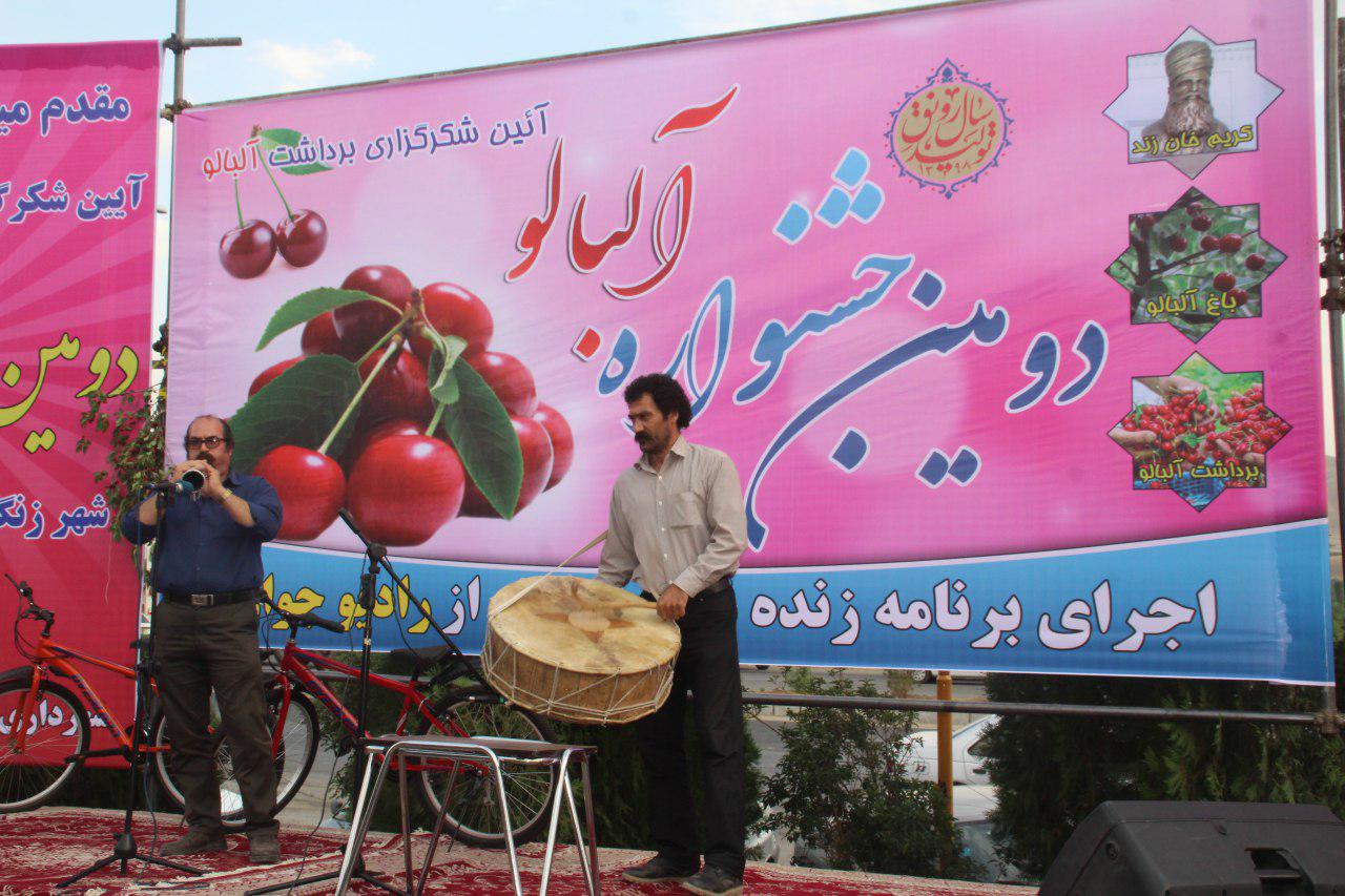 برگزاری جشنواره آلبالو در ملایر