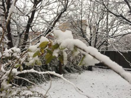 تصاویری از بارش اولین برف زمستانی در فارسبان نهاوند