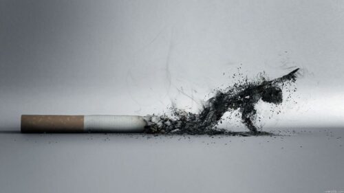 مصرف دخانیات مقدمه اعتیاد به مواد مخدر/ ۱۴ درصد ایرانی‌ها دخانیات مصرف می کنند