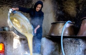شیره‌پزان با شهدشیرین آب انگور در خانه بانوی فعال پالیزی