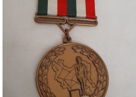 کسب مدال برنز کشتی‌گیر ملایری در مسابقات تیم ملی