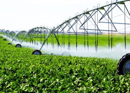 ۸۷ درصد تولیدات کشاورزی وابسته به آب است