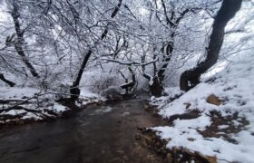 نهاوند، نگین زمستانی در آغوش سپید برف