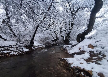 نهاوند، نگین زمستانی در آغوش سپید برف