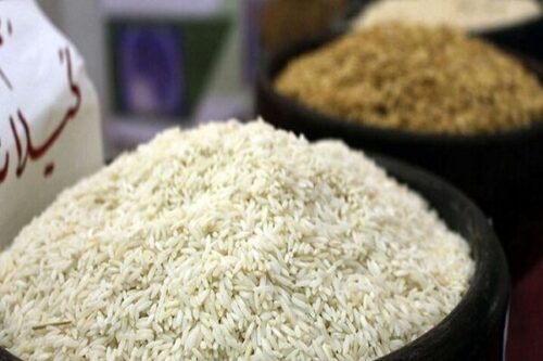 عرضه برنج و میوه تنظیم بازار در نهاوند