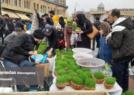 ماهی‌های قرمز، سفیران بهار