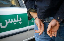 دستگیری سارقان احشام و سیم برق در نهاوند