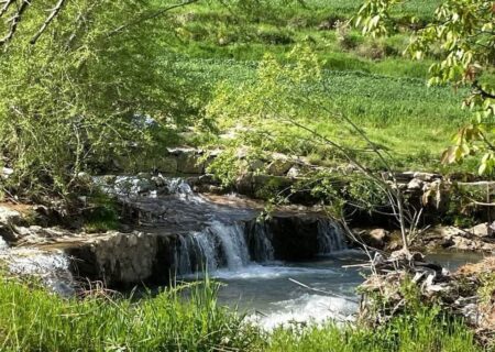 طبیعت بکر اردیبهشت نهاوند+تصاویر