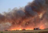 آتش سوزی گسترده در مزارع گندم شورین