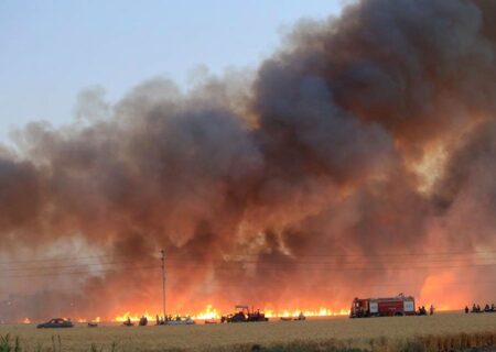 آتش سوزی گسترده در مزارع گندم شورین