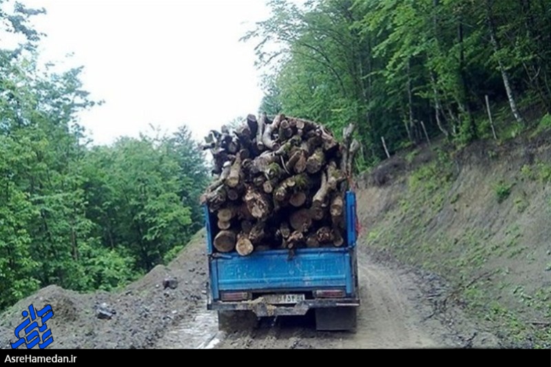 خروج روزانه ۵ تا ۱۰ کامیون چوب از تویسرکان!/کم کاری مسئولانی که تیشه به ریشه تویسرکان می زند