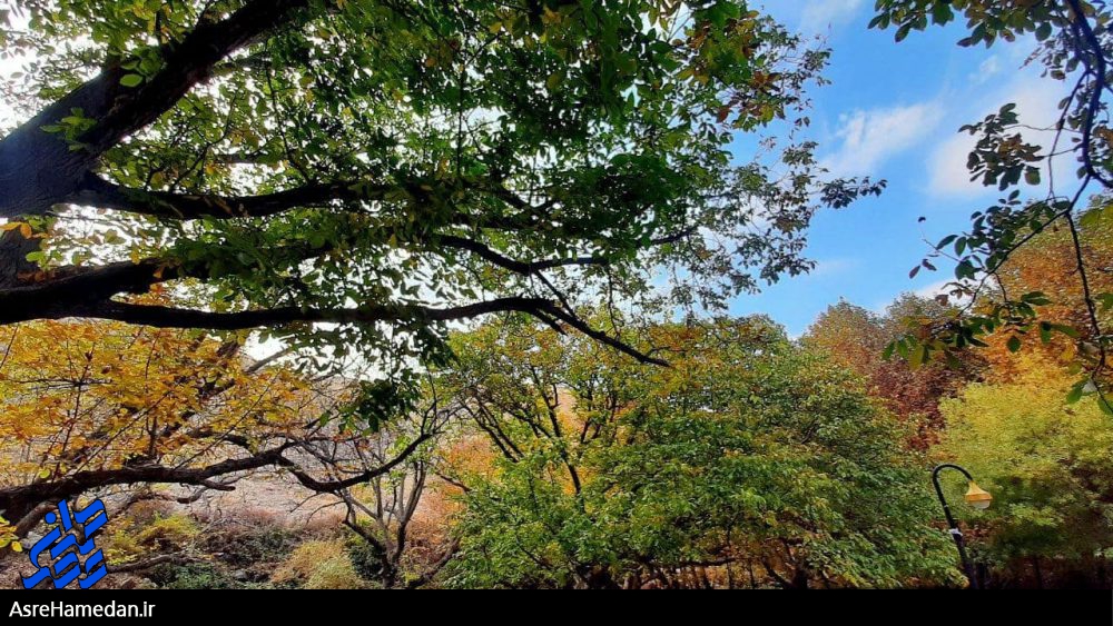ترکیب زیبای رنگ‌ها در طبیعت پاییزی سراب فارسبان نهاوند