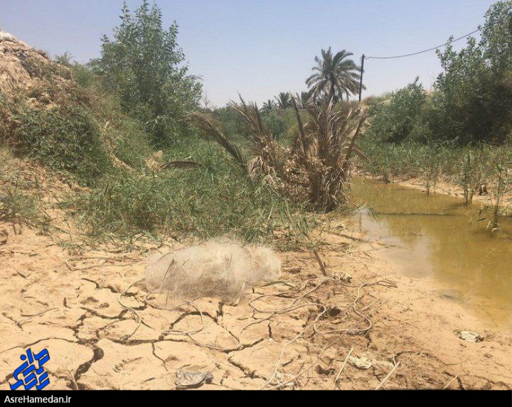 رفع تنش آبی خوزستان در گرو تغییر تفکر وزارت نیرو است/ تغییر الگوی کشت باید اولویت جهاد کشاورزی باشد