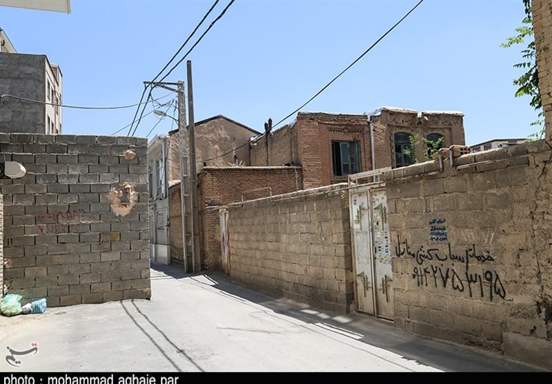 استان همدان بیش از ۴ هزار هکتار محدوده باز‌آفرینی دارد
