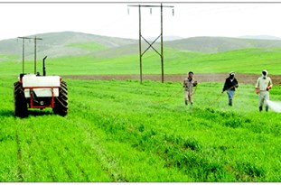 ۸۷ درصد از اراضی کشاورزی کشور خرده‌مالکی است/ افزایش بهره‌وری با ساماندهی اراضی